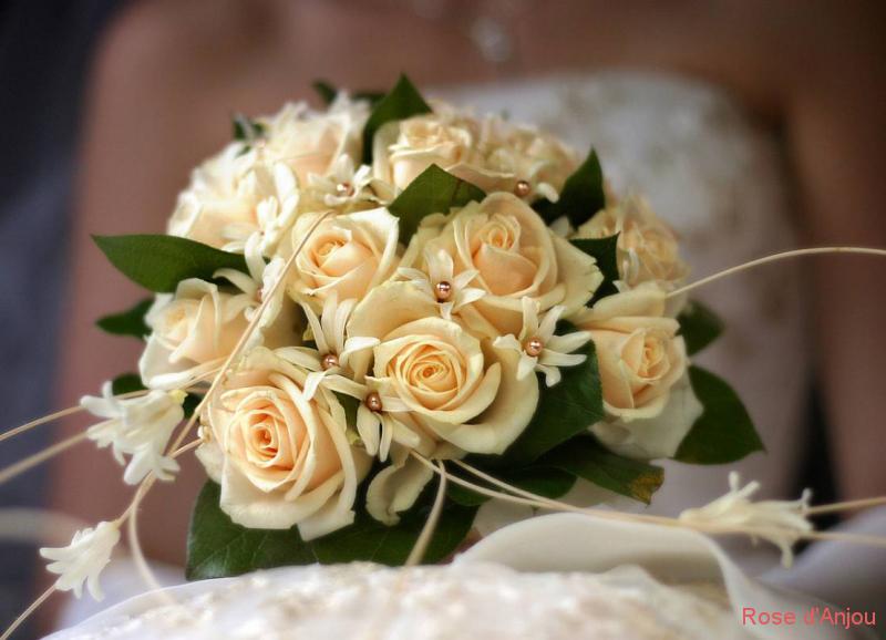 Bouquets de fleurs coupées - Jardins Malices - Verrières-en-Anjou (49)